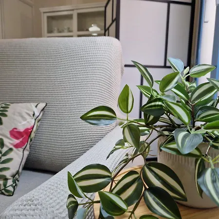 Del Parque Flats Galatas Апартаменты *